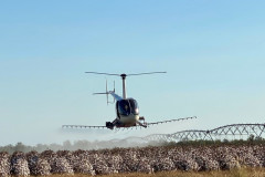 Landscape-Aerial-Spraying-Cotton