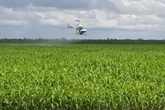 Landscape-FJB-Spraying-Seamus-photo