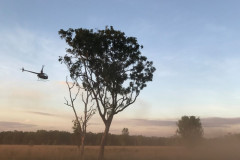Landscape-Mustering-R22