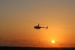 Landscape-R44-Sunset