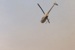 Landscape-R44