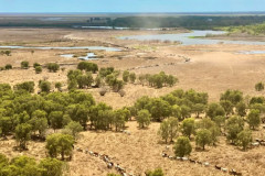 Square-Angus-Photo-Muster-Cattle-over-Shady-Camp-Barrage