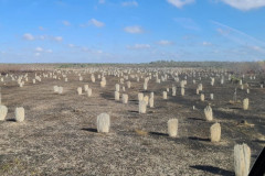 Square-Mounds-landscape-photo-from-Cody-Stevens-annie-friend