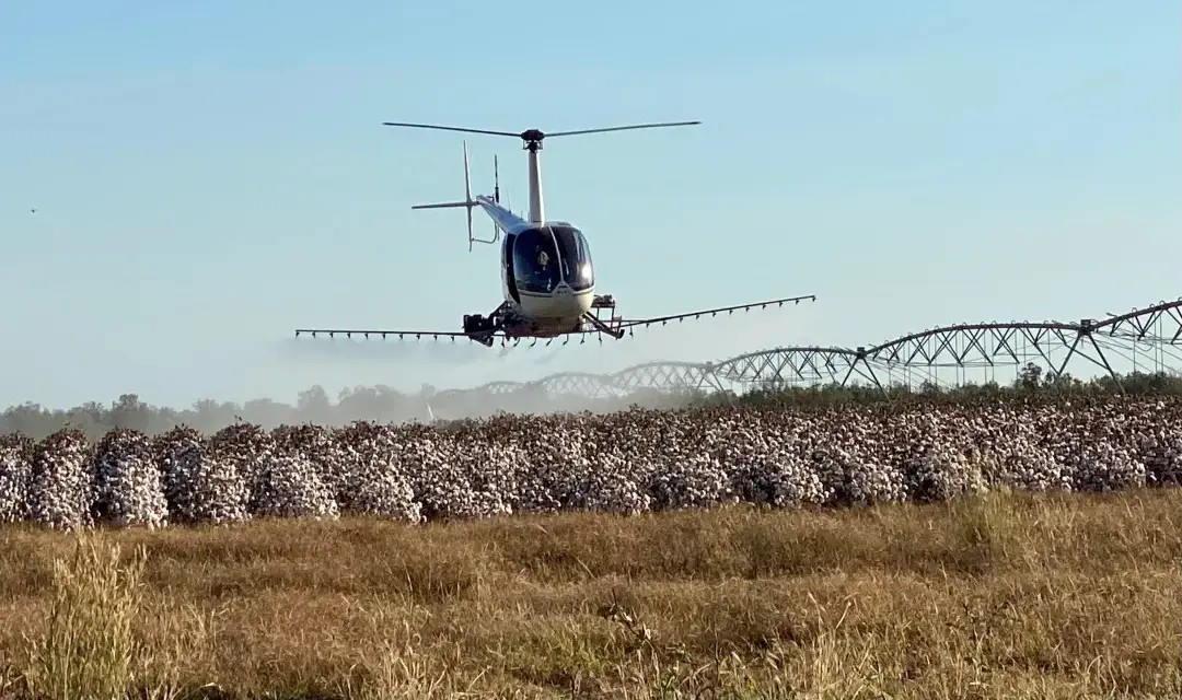 Helicopter Aerial Spraying Cotton